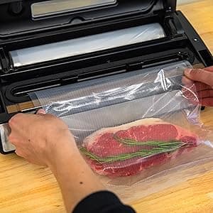 Nesco Deluxe Food VS-12 Vacuum Sealer, 130 Watts, Kit Bags & Viewing Lid, Compact, Silver