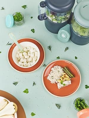 Babymoov Duo Meal Lite Food Maker - 4 in 1 Baby Food Processor with Steam Cooker, Blender, Baby Purees, Warmer and Defroster (Nutritionist Approved), Dark Grey