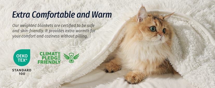 Wemore Shaggy Long Fur Faux Fur Weighted Blanket, Cozy and Fluffy Plush Sherpa Long Hair Blanket for Adult 15lbs, Fluffy Fuzzy Sherpa Reverse Heavy Blankets for Bed, Couch, Cream White, 60 x 80 Inches