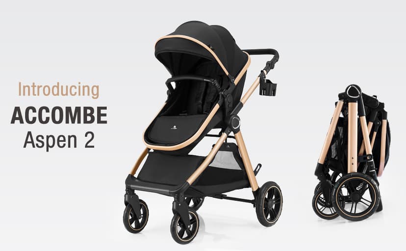 2 in 1 Baby Stroller, Convertible Bassinet Pushchair for Infants and Newborns 0-36 Months