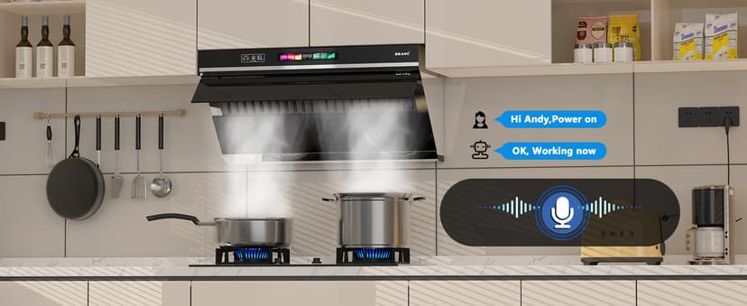 Under Cabinet Range Hood 30 inch, 900 CFM Kitchen Hood with Voice/Gesture/Touch Control,Ducted/Ductless Convertible Stainless Steel Range Hood, 4 Speed Exhaust Fan,Adjustable Lights