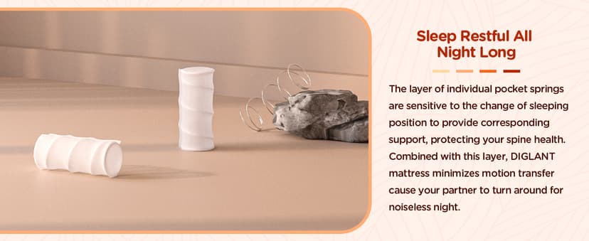 Queen Mattress, 14 Inch Plush Hybrid Mattress Memory Foam with Individually Pocket Springs Queen Size Mattress in Box, Plush Mattress for Pressure Relief,CertiPUR-US Certified,Edge Support