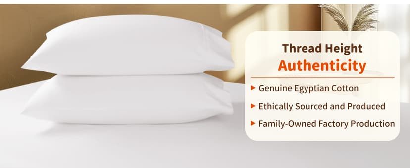 LBRO2M 100% Egyptian Cotton Sheets Set 1000 Thread Count,Queen Size Bed Sheet 4 Piece Sets,Long Staple,16 Inches Deep Pocket,All Season,Bedding Super Soft Breathable,Sateen Weave(White)