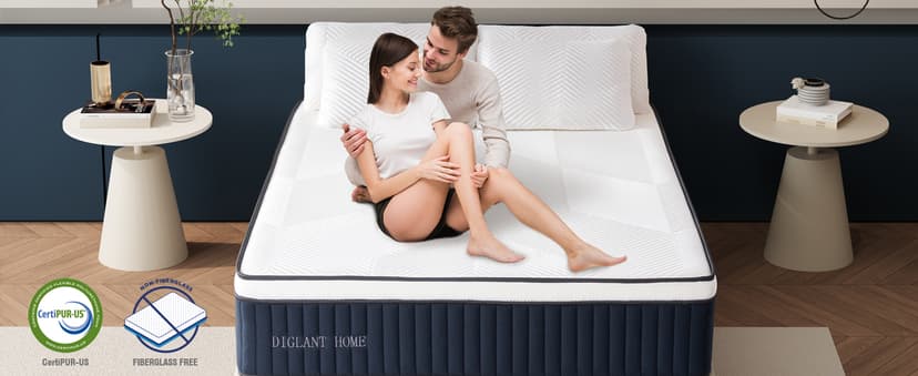 Queen Mattress, DIGLANT 14Inch Euro Top Memory Foam Hybrid Mattress, Medium Plush Feel Pocket Springs Queen Size Mattress for Pressure Relief, Edge Support Mattress in Box, CertiPUR-US, 60"*80"