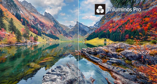 Sony 55-Inch 4K Ultra HD BRAVIA 3 LED Smart TV with Google TV, LED Flat Screen, Dolby Vision HDR, Google TV, Exclusive PS5 Features, 2024 Model (K-55S30)