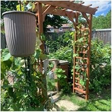 Solid Fir Wooden Garden Arch Premium Outdoor Trellis for Climbing Plants, 83.12”H×59”W×29.75’’D, Also can be Used for Wedding and Party Decoration