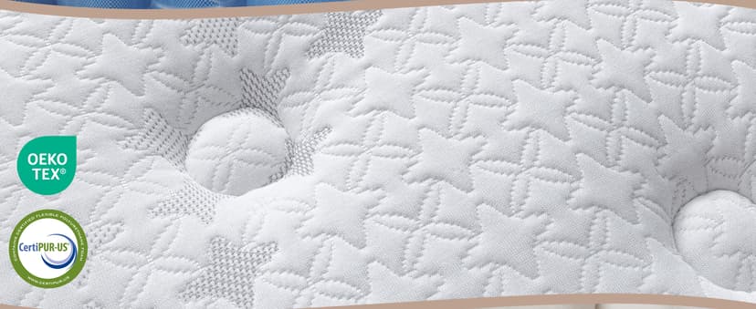 Sleepmax Queen Mattress 14 Inch - Hotel-Collection Hybrid Mattress Extra Lumbar & Hip Support - Deep Sleep Bed in a Box Pain Relief - Fiberglass-Free, CertiPUR-US Certified, 365-Night Trial