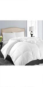 EASELAND Queen Size Mattress Pad Pillow Top Mattress Cover Quilted Fitted Mattress Protector Cotton Top Stretches up 8-21" Deep Pocket Cooling Mattress Topper (60x80 inch, White)