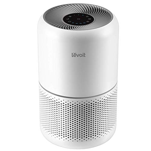 Best Small Room Air Purifier for Allergies: A Complete Buying Guide