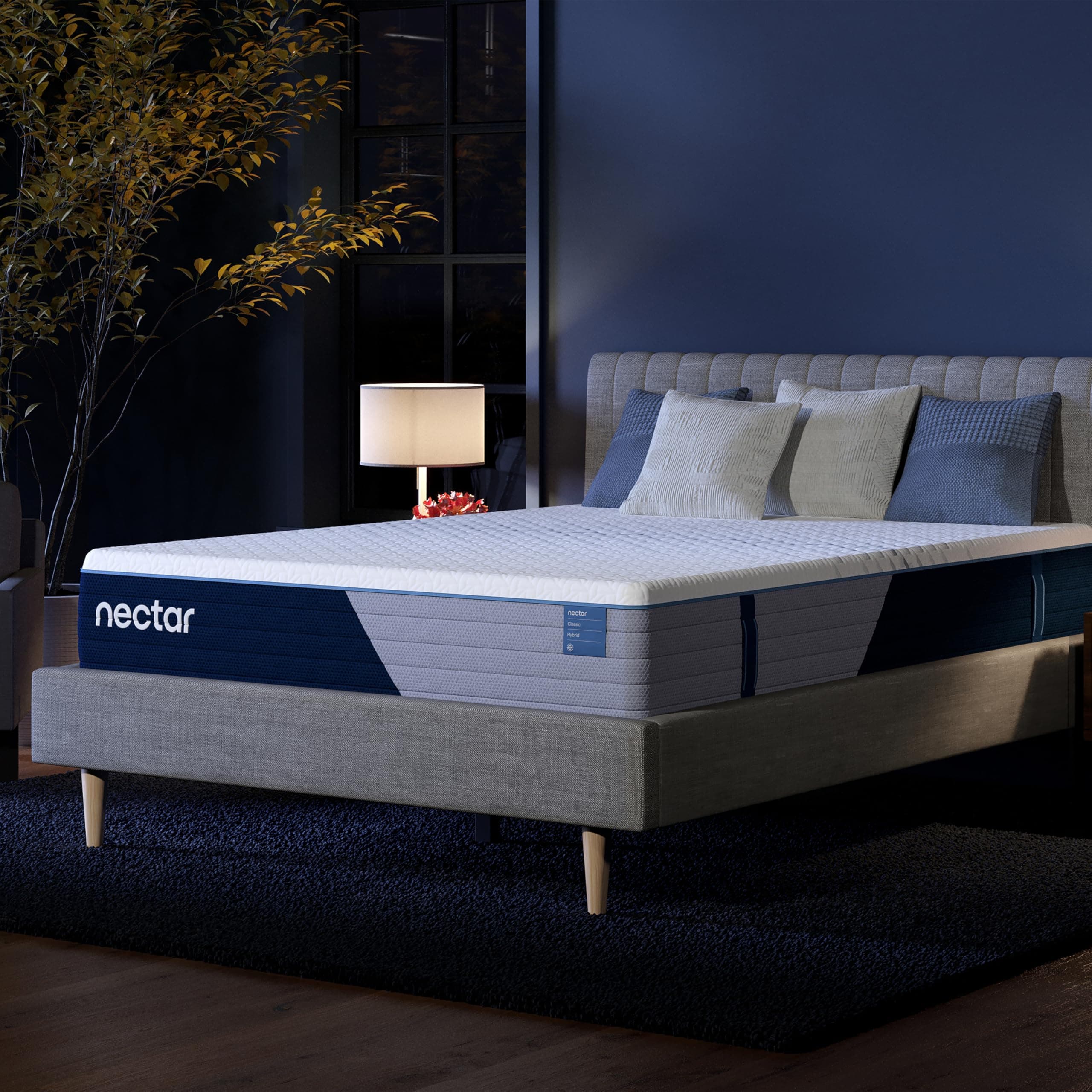 The Best Mattresses for Lower Back Pain in 2026